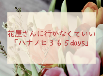 花屋さんに行かなくていいサブスク「ハナノヒ365days」でお花がもっと身近に。