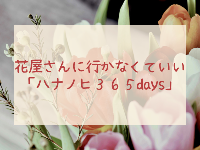 花屋さんに行かなくていいサブスク「ハナノヒ365days」でお花がもっと身近に。