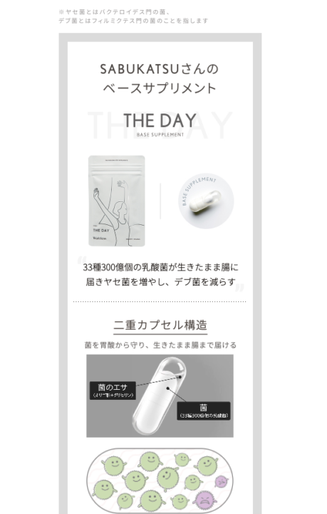 「ウェイトレス」オンライン無料診断イメージ④ベースサプリメントTHEDAY-サブカツ！