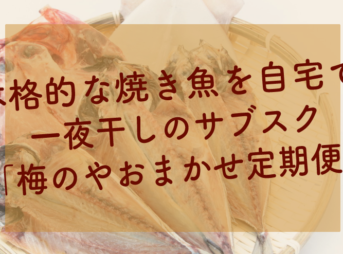 本格的な焼き魚を自宅で! 一夜干しのサブスク 「梅のやおまかせ定期便」-サブカツ！